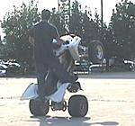 Click image for larger version

Name:	PETE WHEELIE.jpg
Views:	3
Size:	27.6 KB
ID:	111818