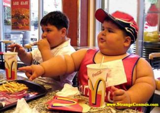 Click image for larger version

Name:	fat_kid.jpg
Views:	11
Size:	42.5 KB
ID:	125781