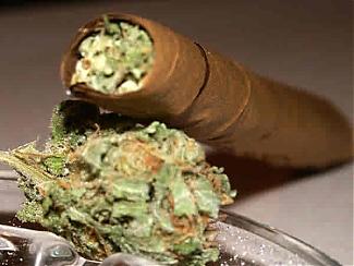 Click image for larger version

Name:	2blunts.jpg
Views:	31
Size:	17.7 KB
ID:	176318