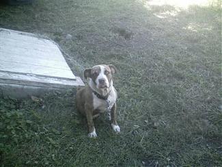 Click image for larger version

Name:	1211879666_l.jpg
Views:	14
Size:	44.1 KB
ID:	180834