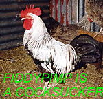 Click image for larger version

Name:	****.jpg
Views:	23
Size:	45.2 KB
ID:	199241