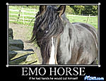 Click image for larger version

Name:	emohorse.jpg
Views:	62
Size:	70.5 KB
ID:	216545