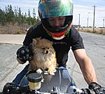 Click image for larger version

Name:	puppies ride too haha.jpg
Views:	20
Size:	42.6 KB
ID:	222461