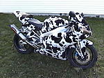 Click image for larger version

Name:	cow bike.jpg
Views:	101
Size:	62.1 KB
ID:	245383