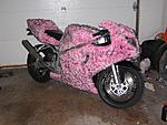 Click image for larger version

Name:	pink gsxr.jpg
Views:	75
Size:	86.0 KB
ID:	245384