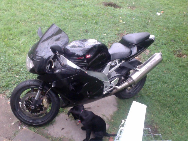 Name:  Photoon2012-07-21at0823.jpg
Views: 29
Size:  122.8 KB