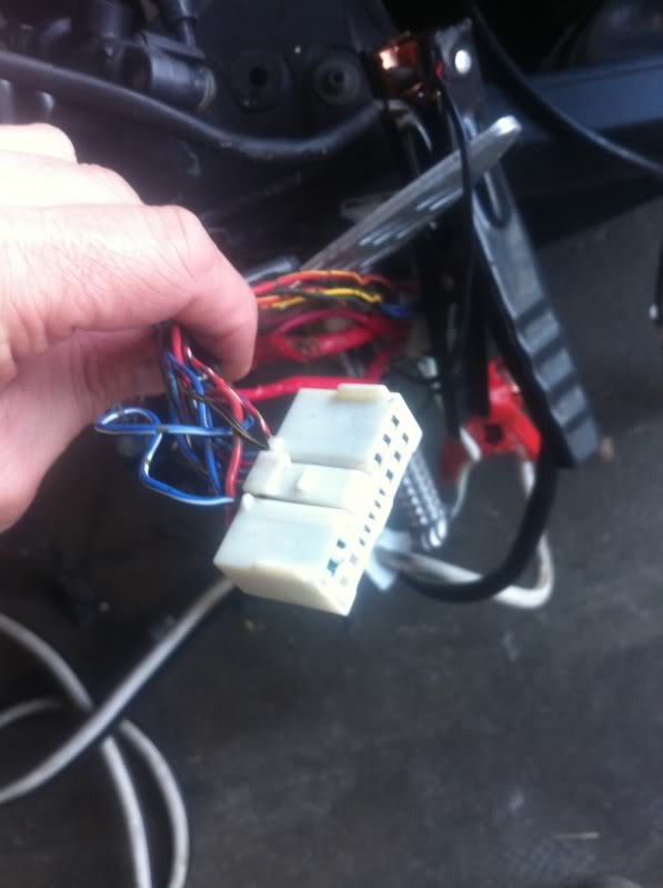 Name:  r1harness.jpg
Views: 7
Size:  41.1 KB