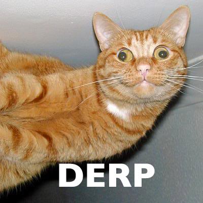 Name:  091128-derp.jpg
Views: 82
Size:  25.1 KB