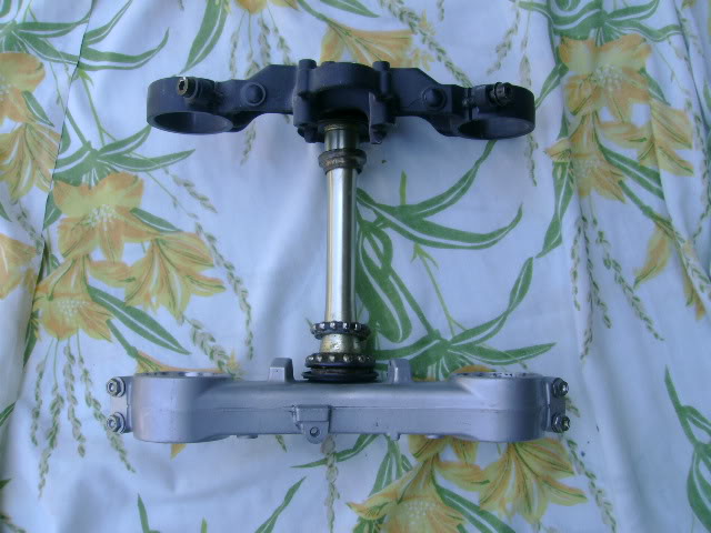 Name: DSC01952.jpg
Views: 7
Size: 69.6 KB