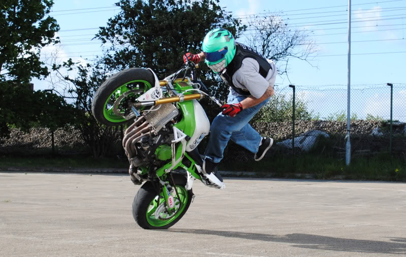 Name:  DSC_0259a.jpg
Views: 9
Size:  119.7 KB