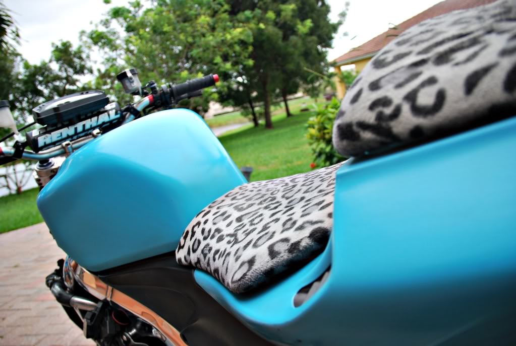 Name: DSC_2198.jpg
Views: 12
Size: 95.5 KB