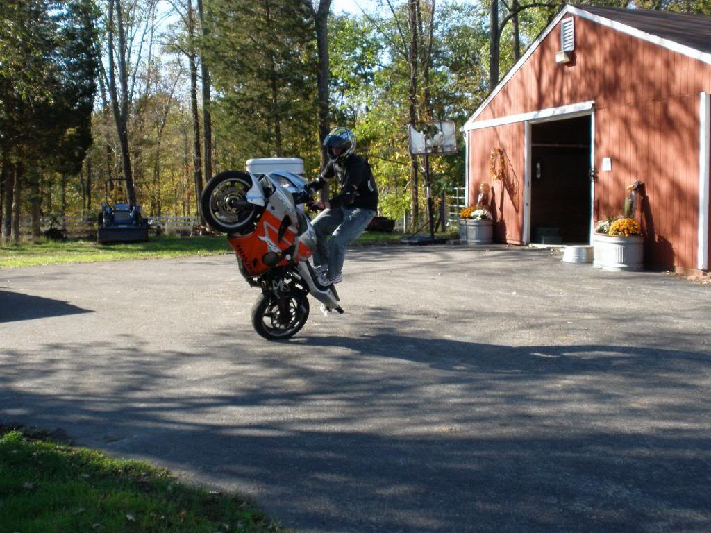 Name:  PA090294.jpg
Views: 9
Size:  151.9 KB