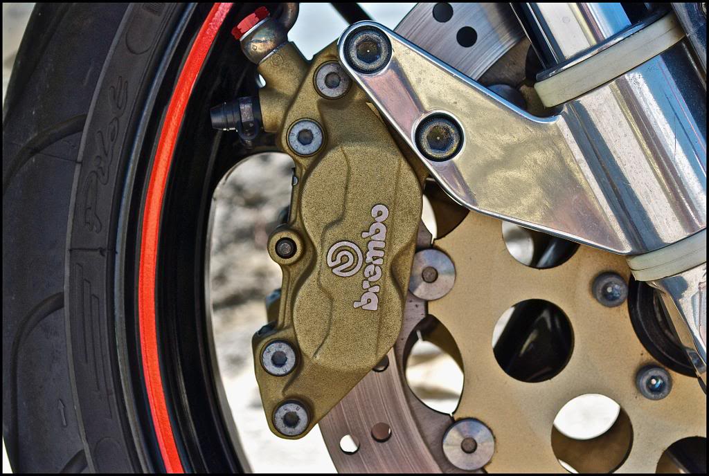 Name:  DSC_4923_2.jpg
Views: 227
Size:  128.6 KB