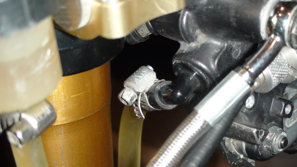 Name:  DSC01029.jpg
Views: 10
Size:  96.0 KB