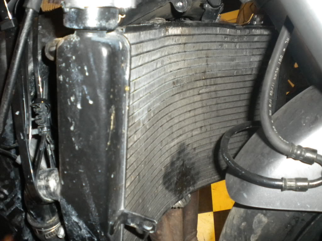 Name:  DSCN0640.jpg
Views: 9
Size:  136.2 KB