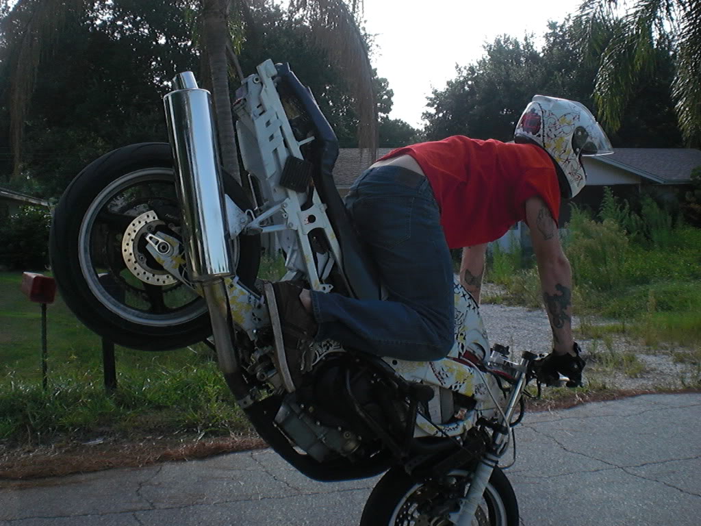 Name:  CIMG1823.jpg
Views: 115
Size:  188.6 KB