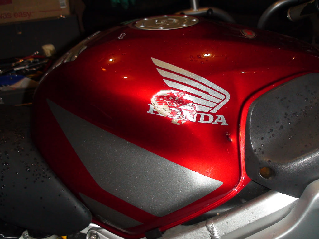 Name:  DSC00964.jpg
Views: 9
Size:  132.0 KB