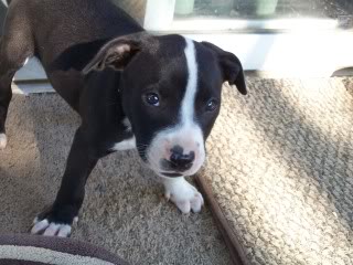 Name:  013-6.jpg
Views: 12
Size:  23.4 KB