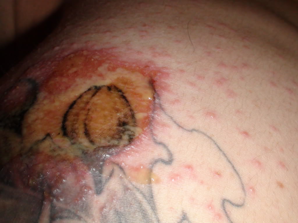 Name:  DSC00950.jpg
Views: 12
Size:  97.9 KB