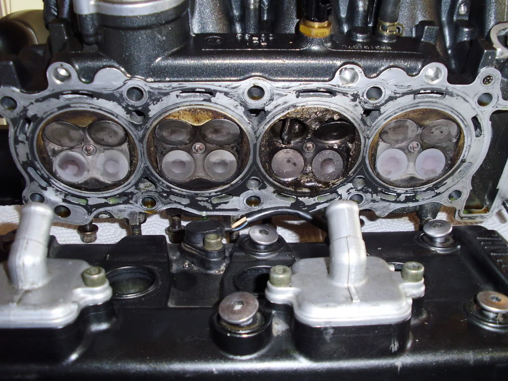 Name:  P5310237.jpg
Views: 8
Size:  195.7 KB