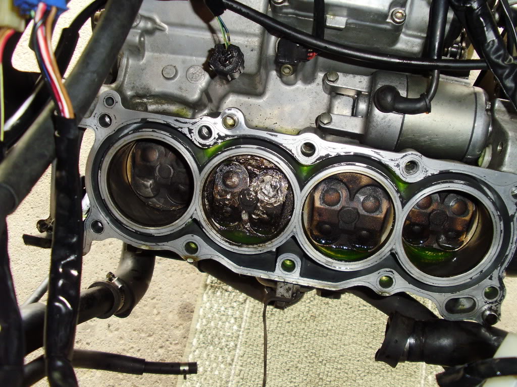 Name:  P5310239.jpg
Views: 8
Size:  219.1 KB