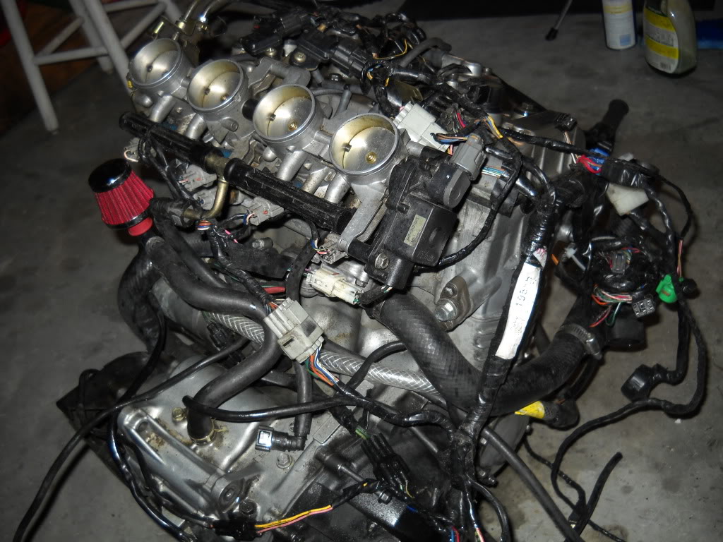 Name:  002-24.jpg
Views: 24
Size:  185.0 KB