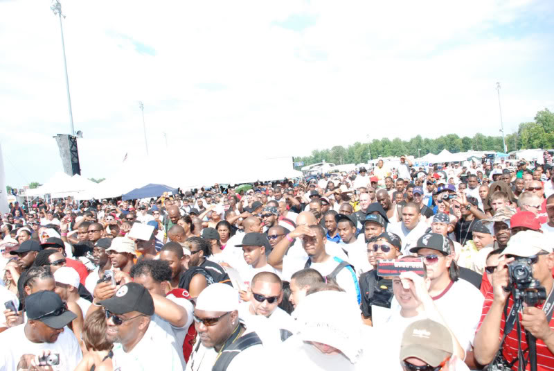 Name:  DSC_12950183.jpg
Views: 215
Size:  128.8 KB