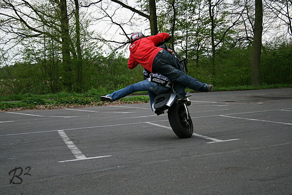 Name:  pollandbestday166.jpg
Views: 66
Size:  211.7 KB