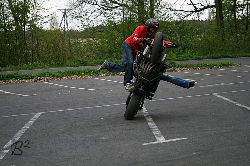 Name:  pollandbestday164.jpg
Views: 72
Size:  189.3 KB