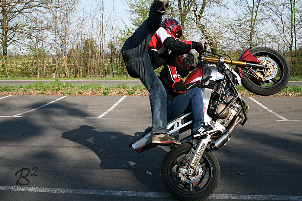 Name:  polland090.jpg
Views: 69
Size:  248.8 KB