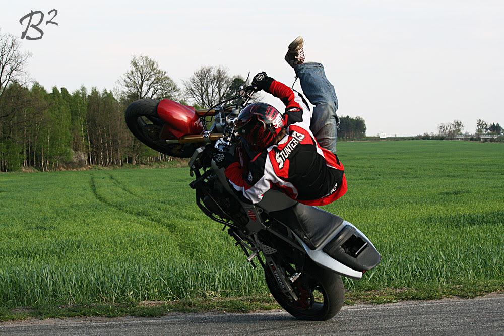 Name:  lastdayinpolland202.jpg
Views: 66
Size:  184.9 KB