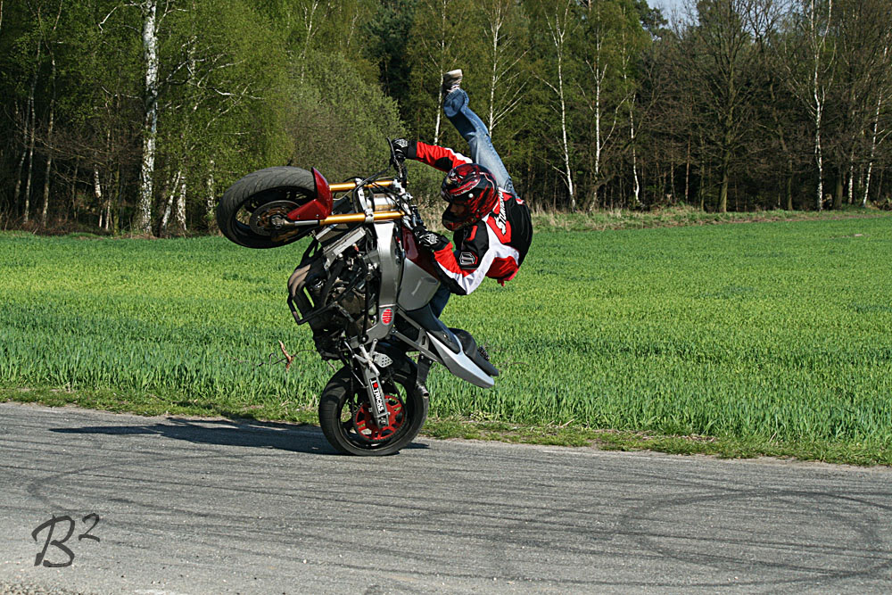 Name:  polland017.jpg
Views: 67
Size:  265.9 KB