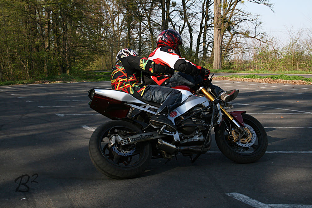 Name:  polland124.jpg
Views: 71
Size:  193.8 KB