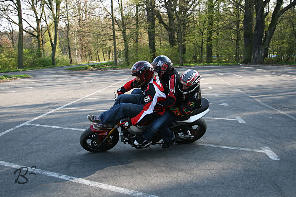 Name:  polland191.jpg
Views: 70
Size:  189.6 KB