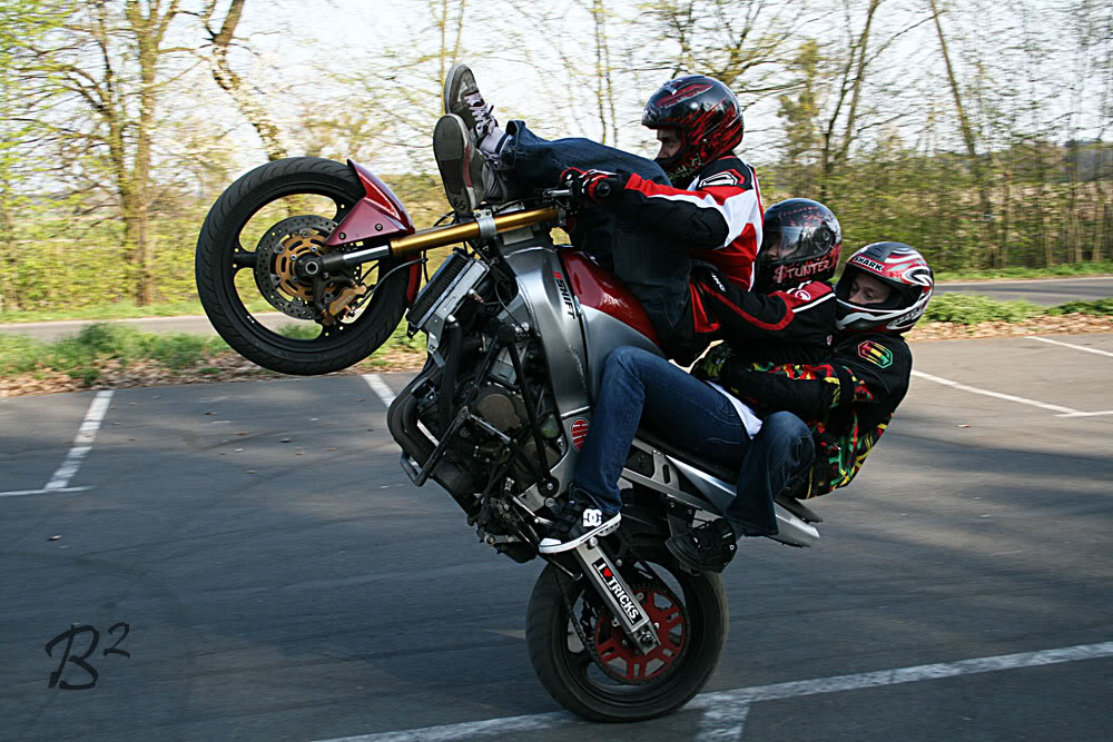 Name:  polland203.jpg
Views: 82
Size:  167.9 KB