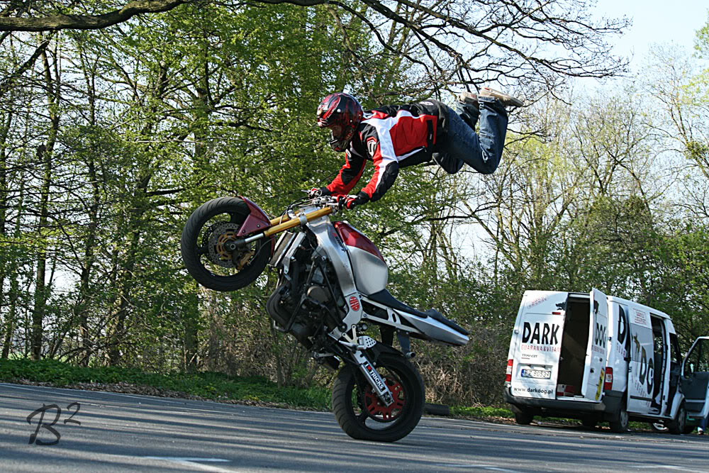 Name:  polland034.jpg
Views: 64
Size:  299.2 KB