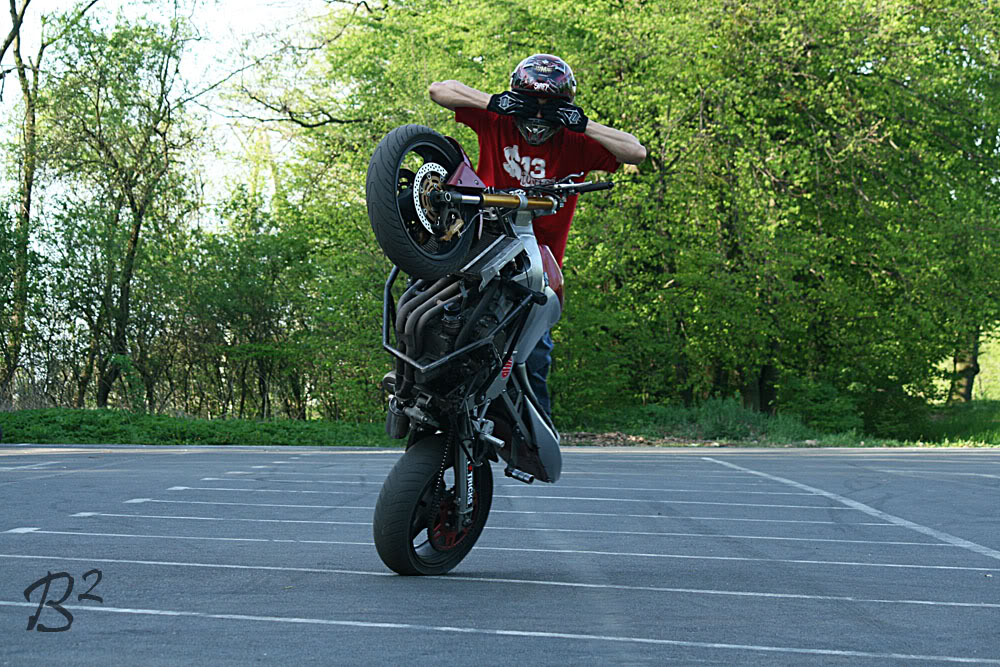 Name:  sunsession091.jpg
Views: 24
Size:  219.9 KB