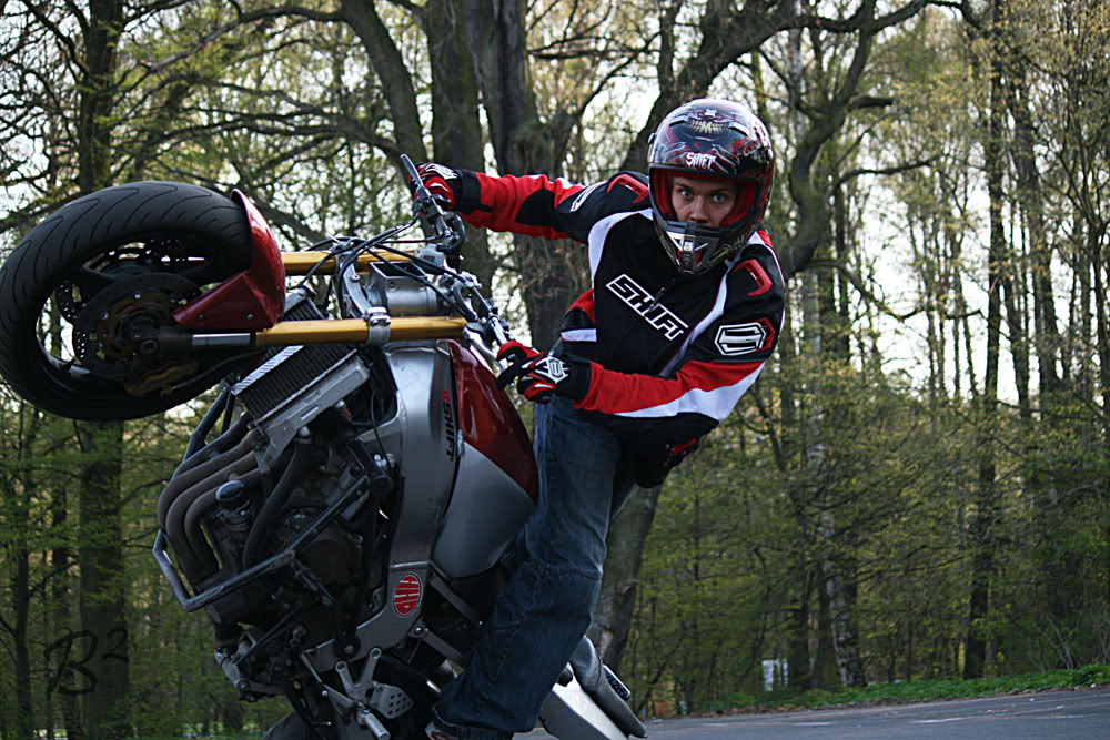 Name:  polland230.jpg
Views: 62
Size:  184.8 KB