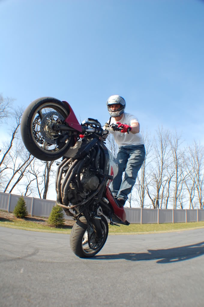 Name:  DSC_0018.jpg
Views: 60
Size:  138.9 KB