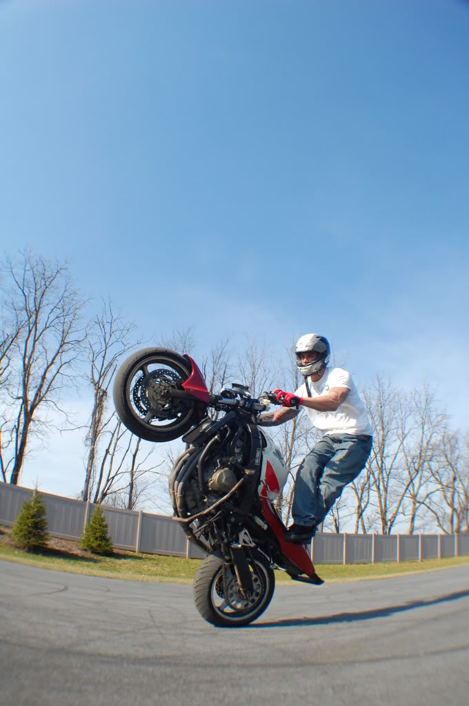 Name:  DSC_0017.jpg
Views: 50
Size:  125.3 KB