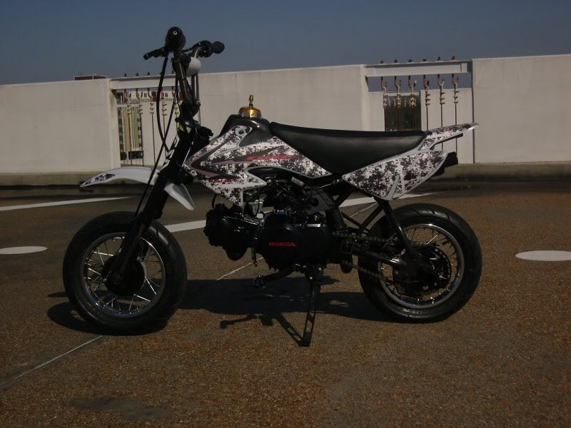 Name:  SNC17141.jpg
Views: 4
Size:  79.0 KB