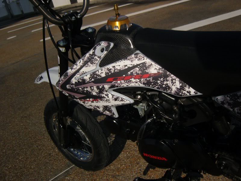 Name:  SNC17156.jpg
Views: 5
Size:  85.6 KB