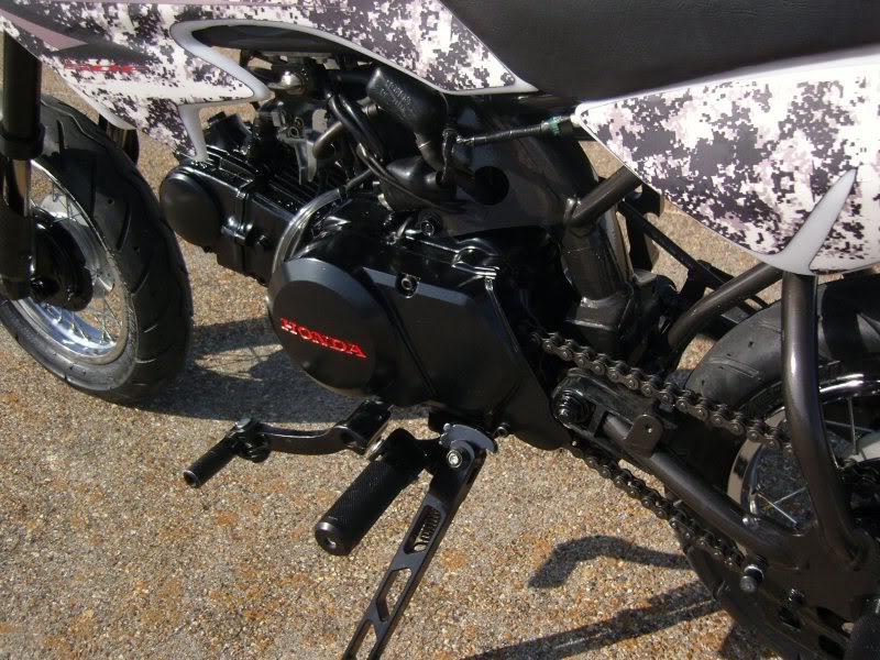 Name:  SNC17169.jpg
Views: 6
Size:  131.4 KB