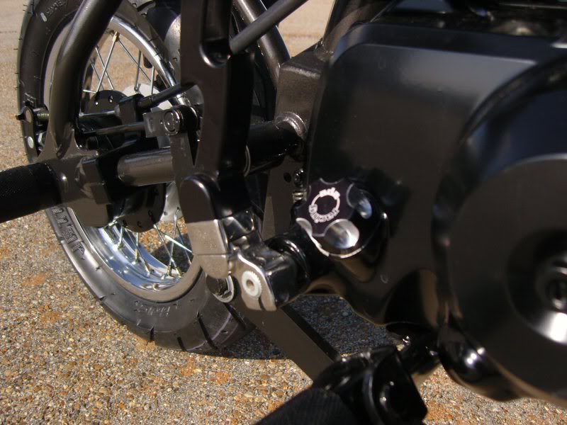 Name:  SNC17198.jpg
Views: 7
Size:  89.4 KB