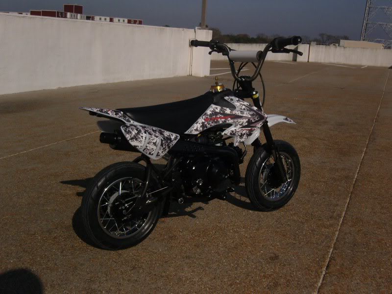 Name:  SNC17218.jpg
Views: 5
Size:  78.9 KB