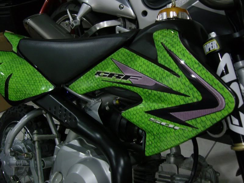 Name:  SNC16709.jpg
Views: 6
Size:  82.8 KB