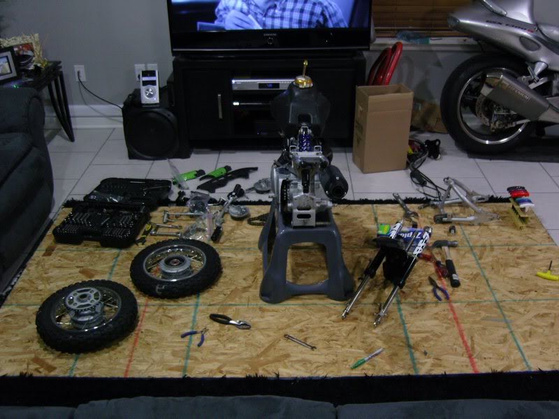 Name:  SNC16782.jpg
Views: 13
Size:  83.8 KB