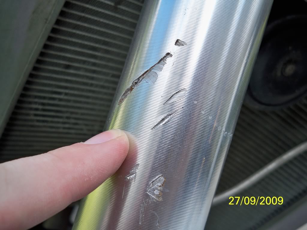 Name:  100_1753.jpg
Views: 121
Size:  121.4 KB