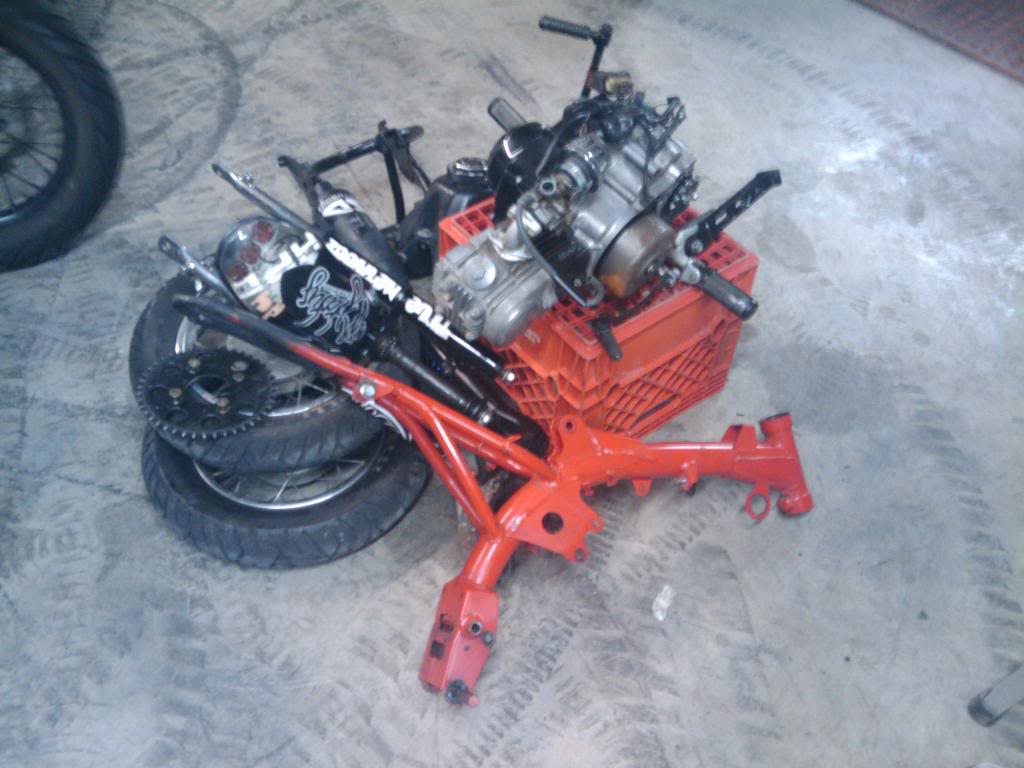 Name:  2010-01-09011930.jpg
Views: 199
Size:  135.1 KB