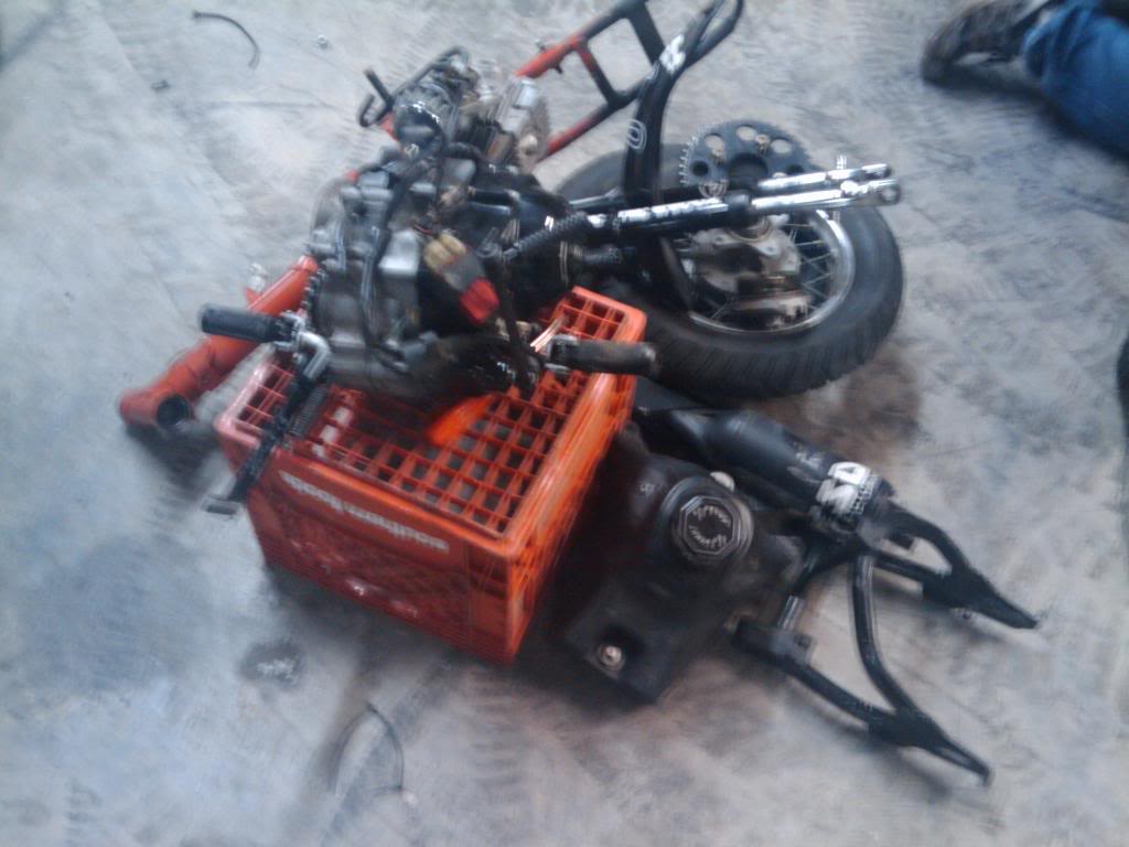 Name:  2010-01-09011939.jpg
Views: 192
Size:  119.8 KB